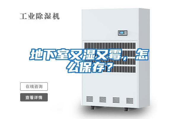 地下室又濕又霉，怎么保存？