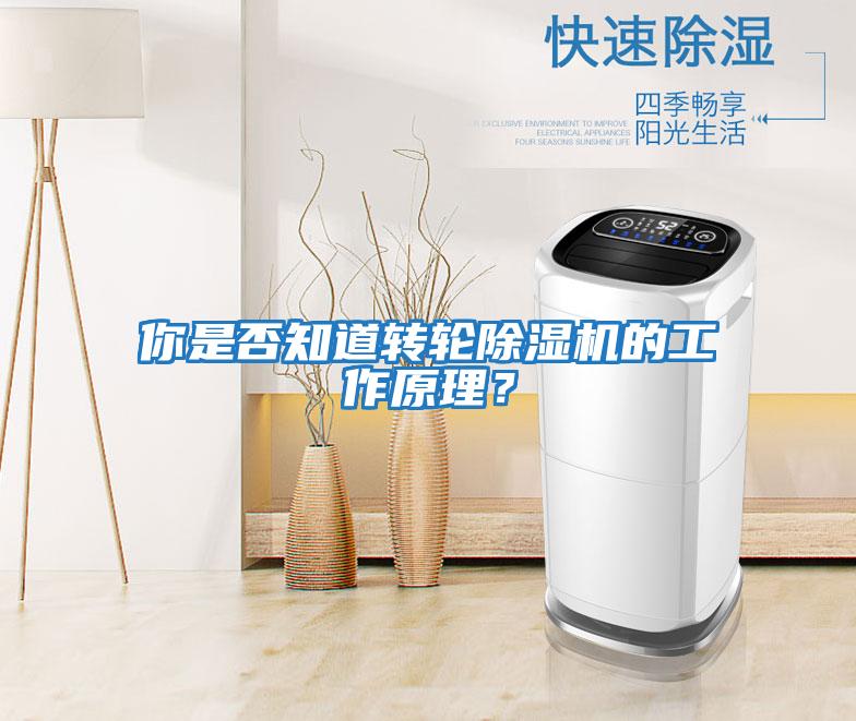 你是否知道轉輪除濕機的工作原理？