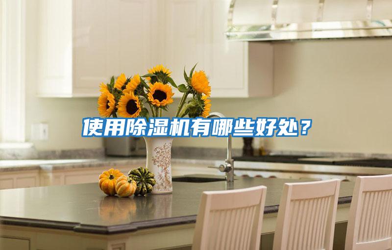 使用除濕機(jī)有哪些好處？