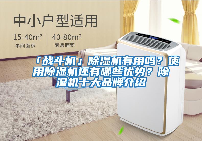 「戰斗機」除濕機有用嗎？使用除濕機還有哪些優勢？除濕機十大品牌介紹