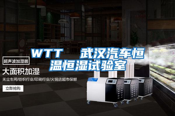 WTT 武漢汽車恒溫恒濕試驗室