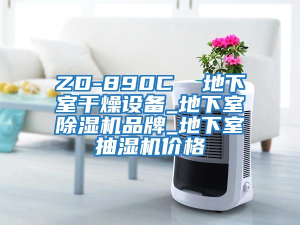 ZD-890C 地下室干燥設(shè)備_地下室除濕機(jī)品牌_地下室抽濕機(jī)價(jià)格