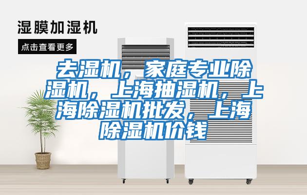 去濕機(jī),家庭專業(yè)除濕機(jī),上海抽濕機(jī),上海除濕機(jī)批發(fā),上海除濕機(jī)價(jià)錢