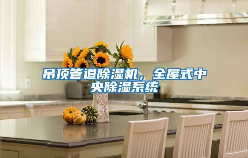 吊頂管道除濕機，全屋式中央除濕系統