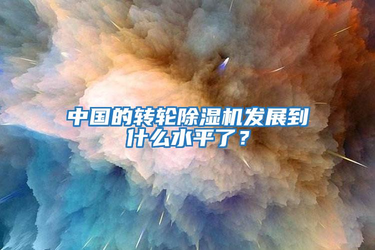 中國的轉輪除濕機發展到什么水平了?