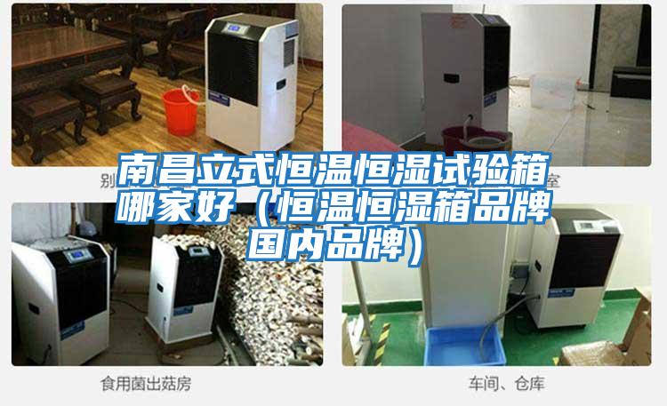 南昌立式恒溫恒濕試驗箱哪家好(恒溫恒濕箱品牌國內(nèi)品牌)