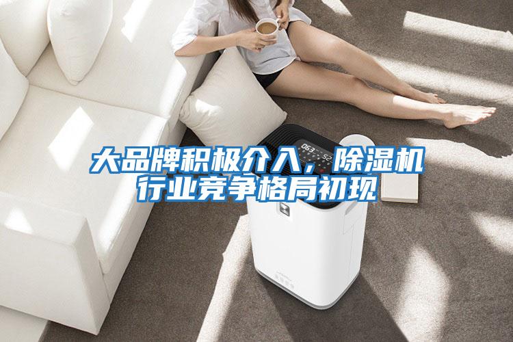 大品牌積極介入，除濕機行業競爭格局初現