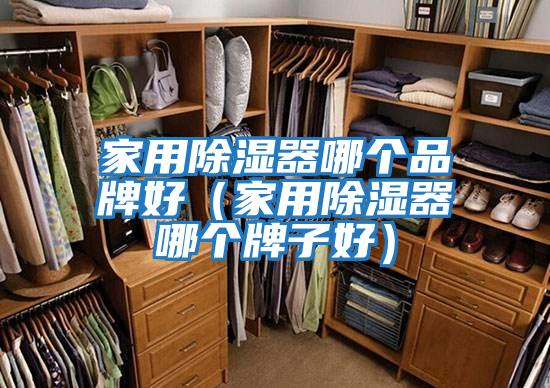 家用除濕器哪個品牌好(家用除濕器哪個牌子好)