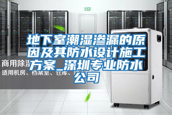 地下室潮濕滲漏的原因及其防水設計施工方案_深圳專業防水公司