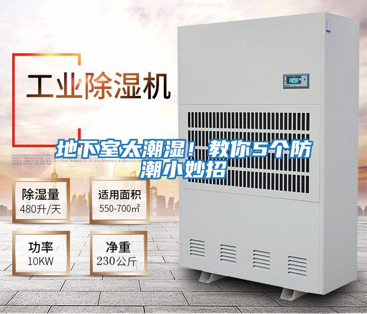 地下室太潮濕！教你5個防潮小妙招