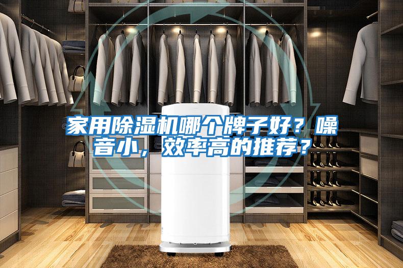 家用除濕機哪個牌子好？噪音小，效率高的推薦？