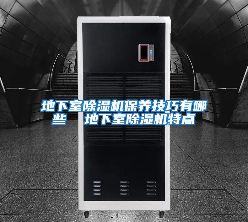 地下室除濕機保養技巧有哪些 地下室除濕機特點
