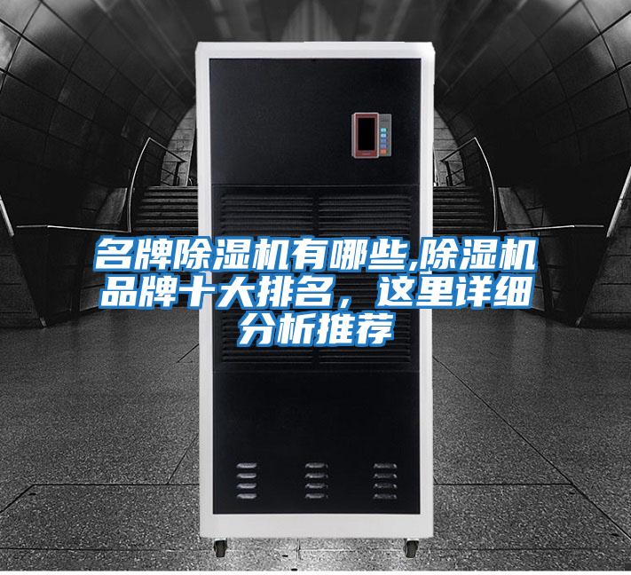 名牌除濕機有哪些,除濕機品牌十大排名，這里詳細分析推薦