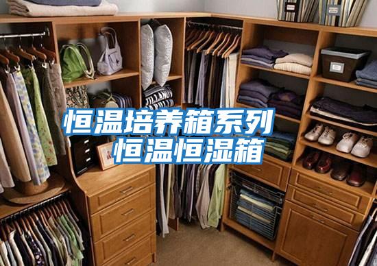 恒溫培養箱系列 恒溫恒濕箱