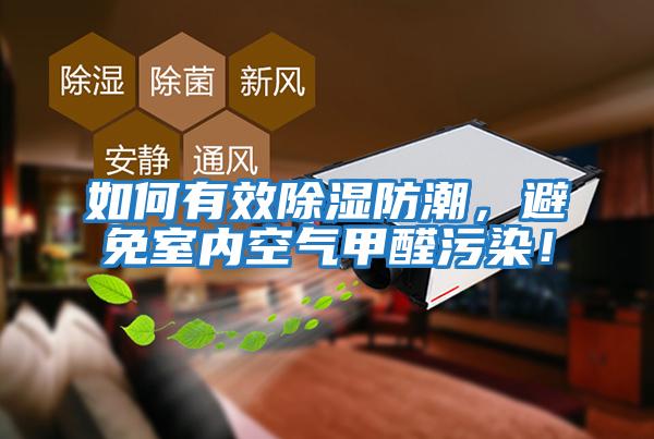 如何有效除濕防潮,避免室內空氣甲醛污染!
