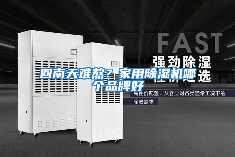 回南天難熬?家用除濕機哪個品牌好