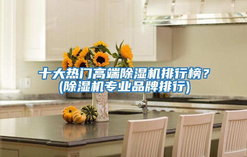十大熱門高端除濕機排行榜？(除濕機專業品牌排行)