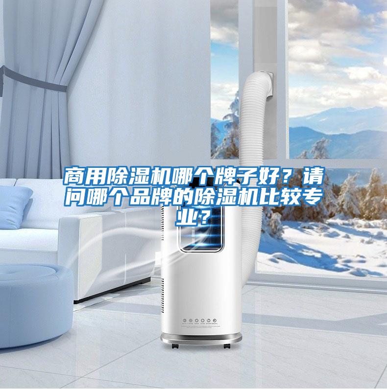 商用除濕機哪個牌子好？請問哪個品牌的除濕機比較專業(yè)？