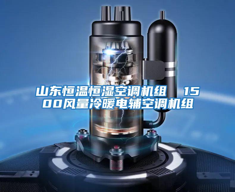 山東恒溫恒濕空調機組 1500風量冷暖電輔空調機組