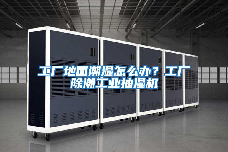 工廠地面潮濕怎么辦?工廠除潮工業抽濕機
