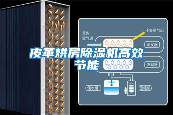 皮革烘房除濕機高效節能