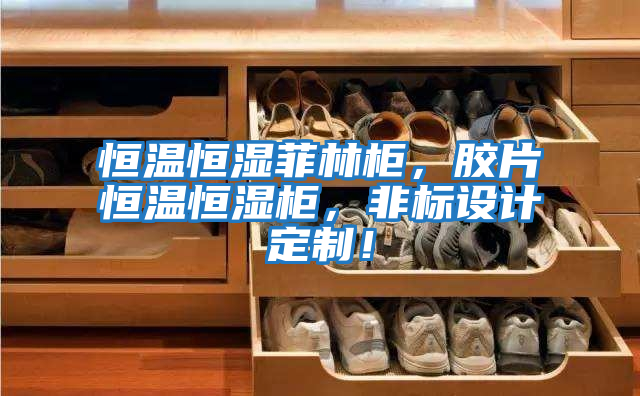 恒溫恒濕菲林柜，膠片恒溫恒濕柜，非標設計定制！