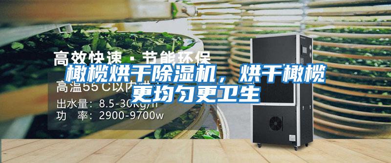 橄欖烘干除濕機(jī)，烘干橄欖更均勻更衛(wèi)生