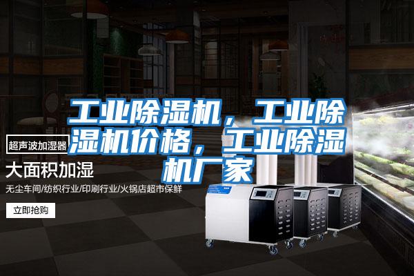 工業(yè)除濕機(jī)，工業(yè)除濕機(jī)價格，工業(yè)除濕機(jī)廠家