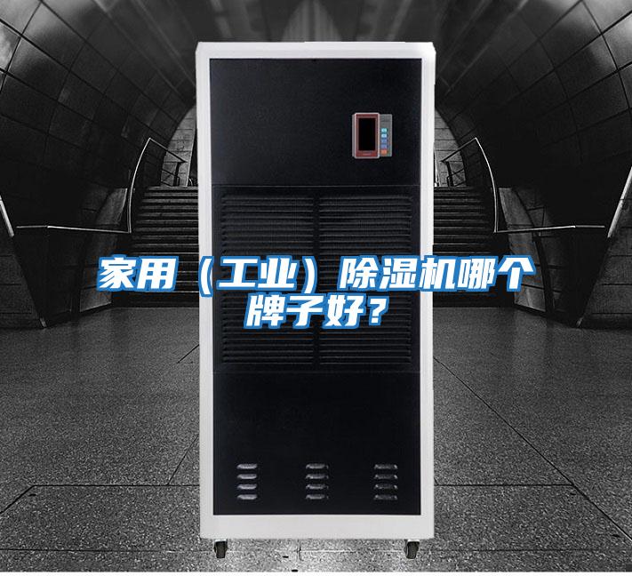 家用(工業(yè))除濕機哪個牌子好?