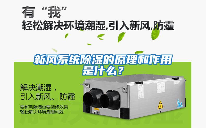 新風系統除濕的原理和作用是什么？