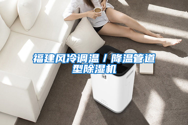 福建風冷調溫/降溫管道型除濕機