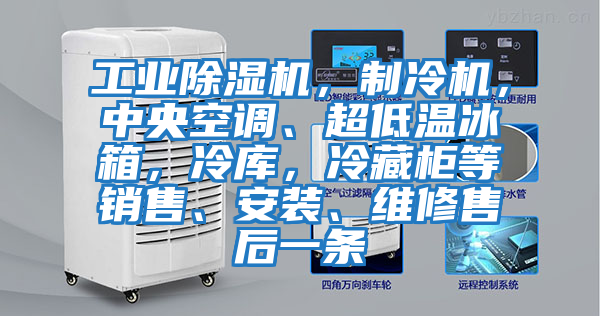 工業(yè)除濕機，制冷機，中央空調(diào)、超低溫冰箱，冷庫，冷藏柜等銷售、安裝、維修售后一條