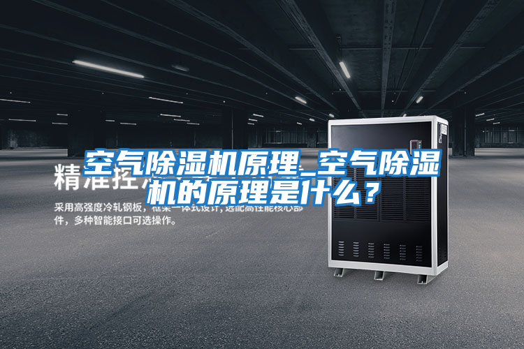 空氣除濕機原理_空氣除濕機的原理是什么？
