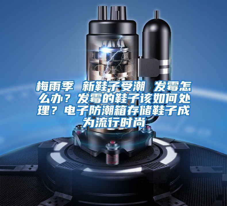 梅雨季 新鞋子受潮 發(fā)霉怎么辦?發(fā)霉的鞋子該如何處理?電子防潮箱存儲鞋子成為流行時尚