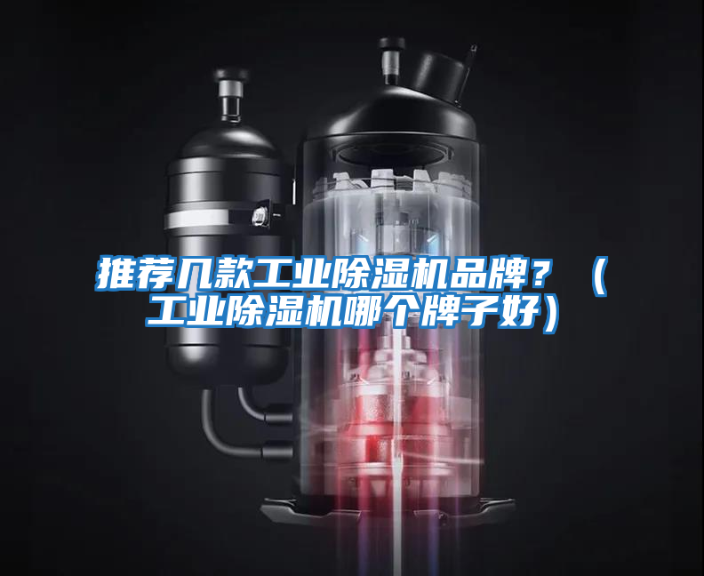 推薦幾款工業除濕機品牌？（工業除濕機哪個牌子好）