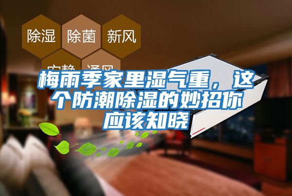 梅雨季家里濕氣重,這個防潮除濕的妙招你應該知曉