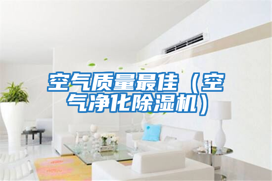 空氣質(zhì)量最佳（空氣凈化除濕機）