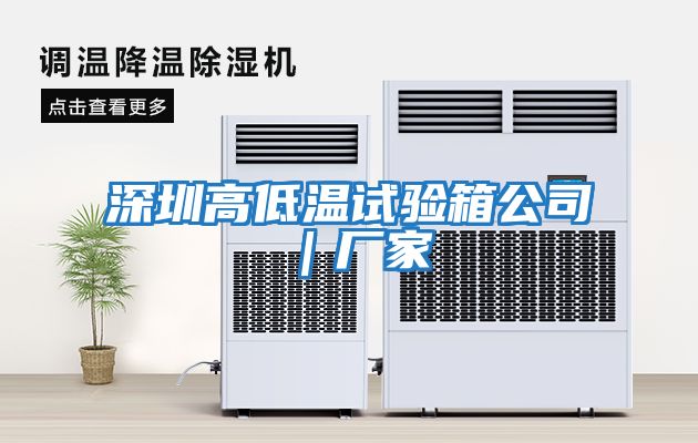 深圳高低溫試驗(yàn)箱公司|廠家
