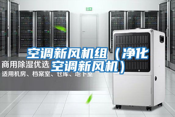 空調(diào)新風機組(凈化空調(diào)新風機)