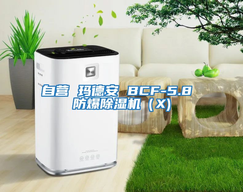 自營 瑪德安 BCF-5.8 防爆除濕機(X)