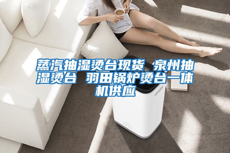 蒸汽抽濕燙臺現(xiàn)貨 泉州抽濕燙臺 羽田鍋爐燙臺一體機供應