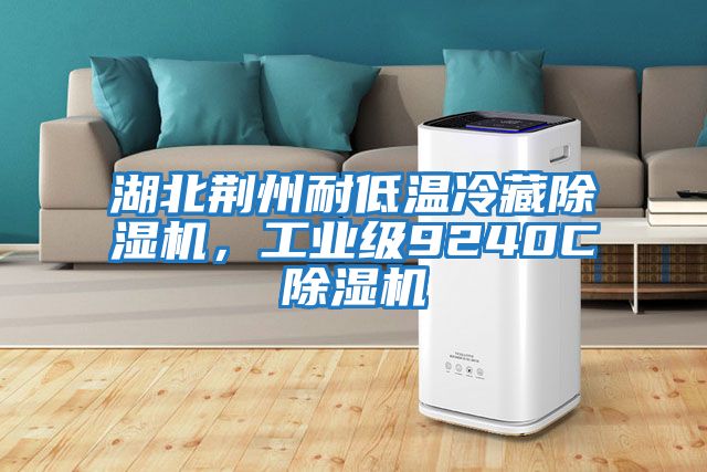 湖北荊州耐低溫冷藏除濕機,工業級9240C除濕機