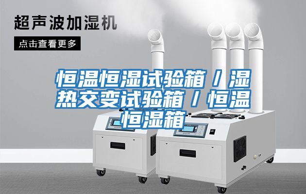 恒溫恒濕試驗箱/濕熱交變試驗箱/恒溫恒濕箱