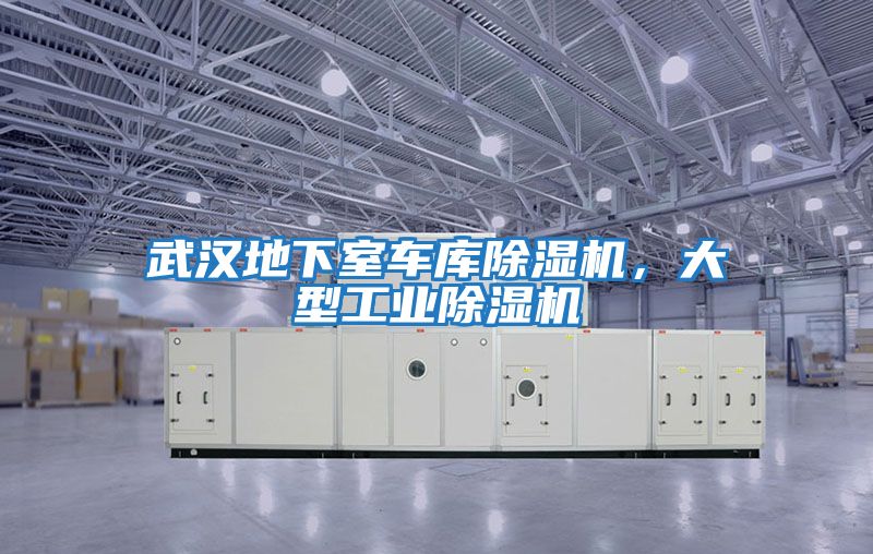 武漢地下室車(chē)庫(kù)除濕機(jī)，大型工業(yè)除濕機(jī)