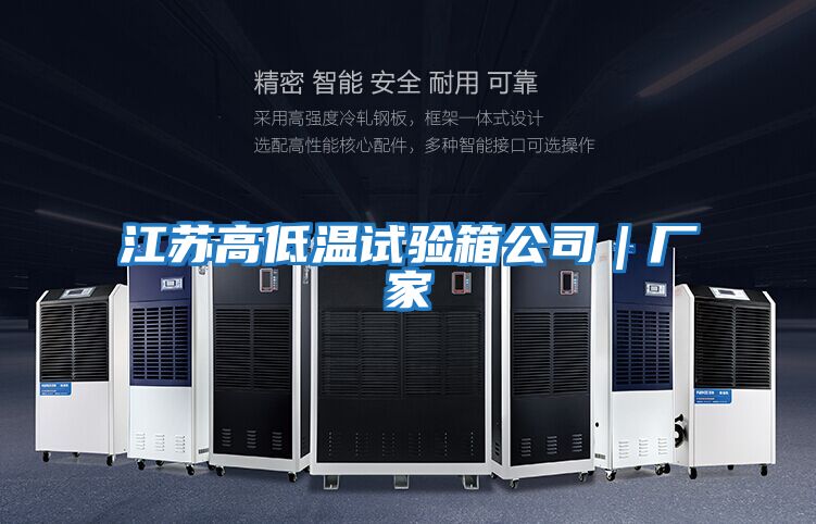 江蘇高低溫試驗(yàn)箱公司|廠家