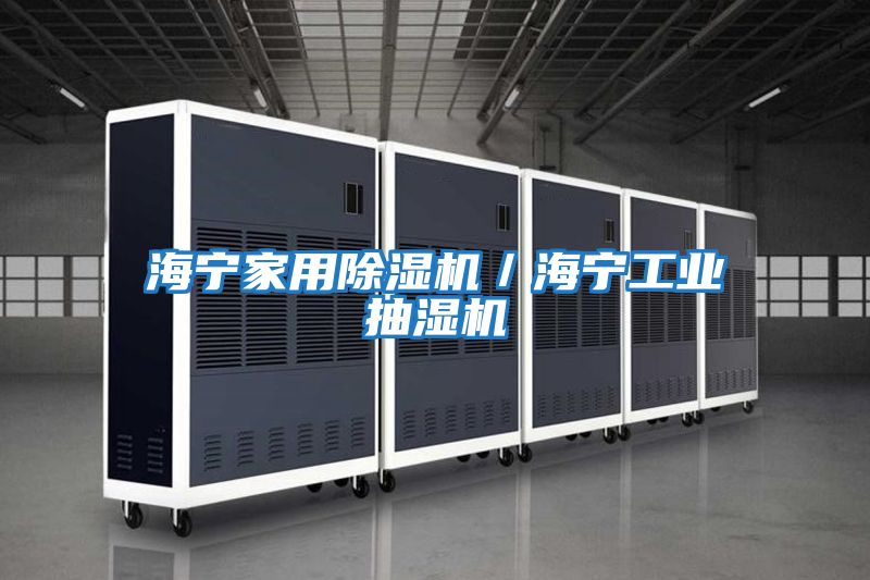 海寧家用除濕機(jī)/海寧工業(yè)抽濕機(jī)
