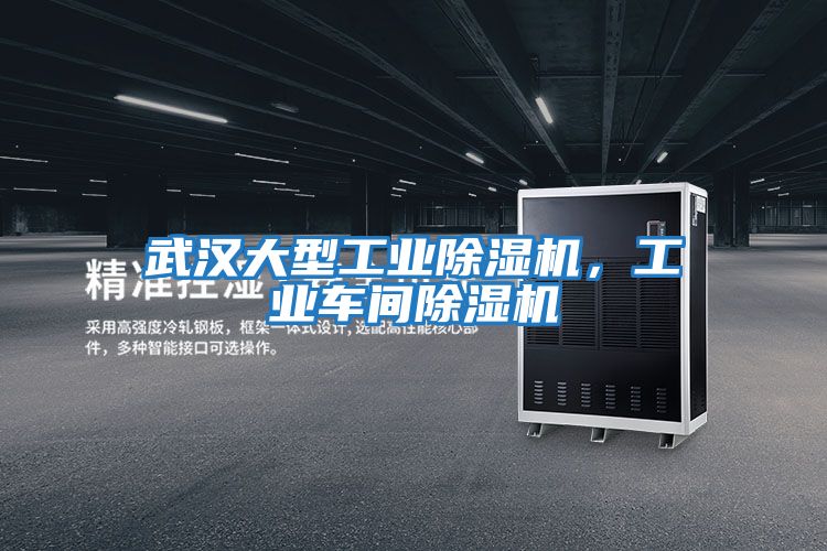 武漢大型工業(yè)除濕機(jī)，工業(yè)車(chē)間除濕機(jī)