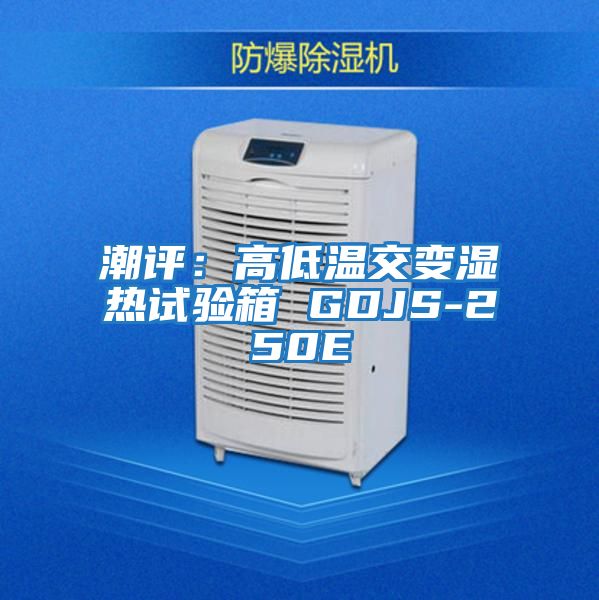 潮評(píng):高低溫交變濕熱試驗(yàn)箱 GDJS-250E