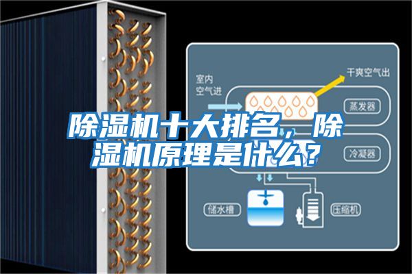 除濕機十大排名，除濕機原理是什么？