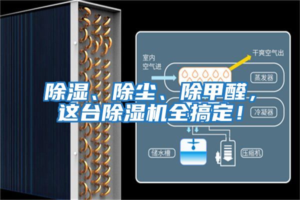 除濕、除塵、除甲醛，這臺除濕機(jī)全搞定！